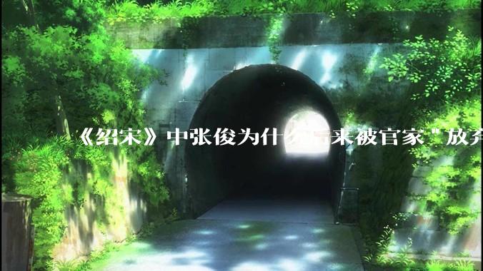 《绍宋》中张俊为什么后来被官家"放弃"了？