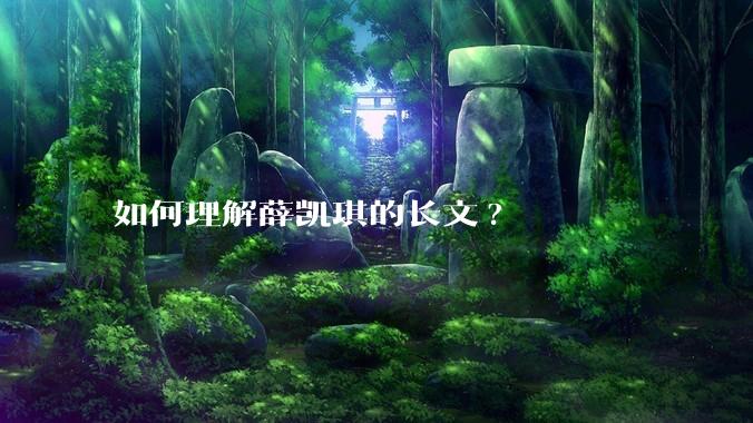如何理解薛凯琪的长文?